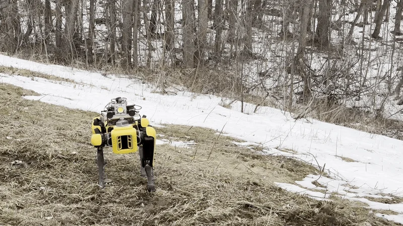Quadruped robot traversing uneven outdoor terrain